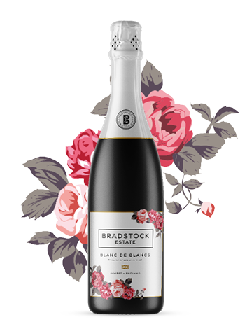 bottle-sparkling-wine-blancsdeblanc-with-bg